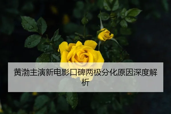 huang-bo-zhu-yan-xin-dian-ying-kou-bei-liang-ji-fen-hua-yuan-yin-shen-du-jie-xi-2-872.jpg