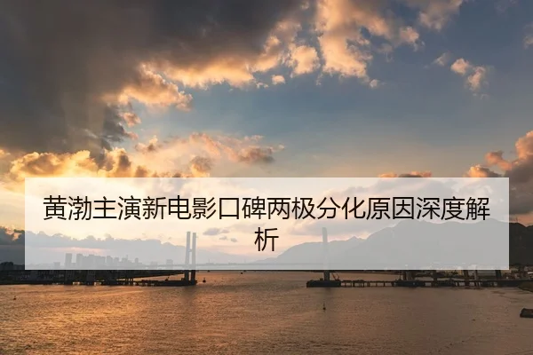 黄渤主演新电影口碑两极分化原因深度解析
